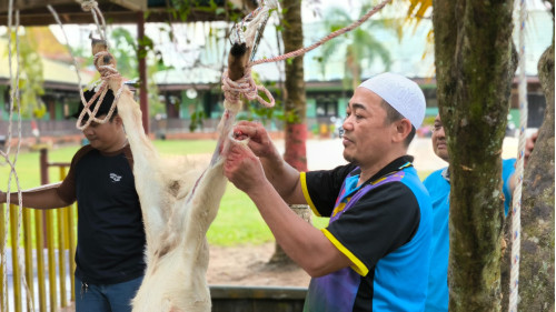 Kasi Pendidikan Madrasah Apresiasi Penyembelihan Hewan Qurban di MAN 1 Ketapang